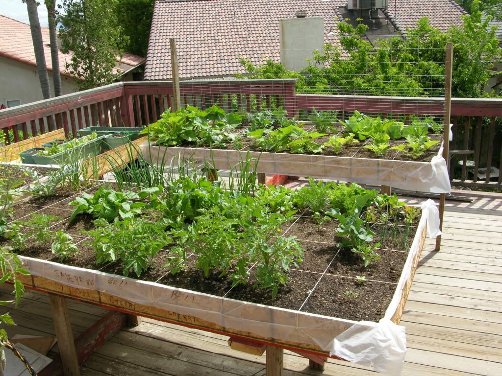 My garden | Grasscity Forums